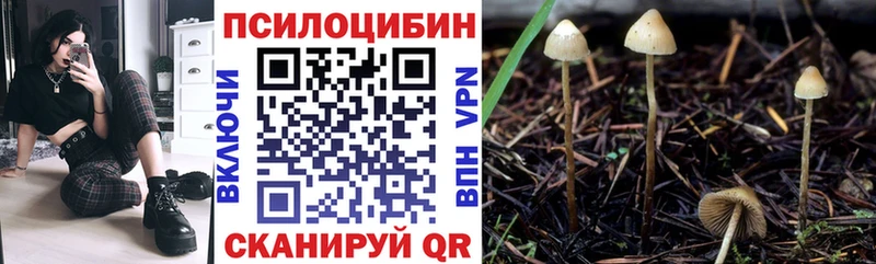 как найти закладки  гидра ссылки  Псилоцибиновые грибы прущие грибы  Теберда 